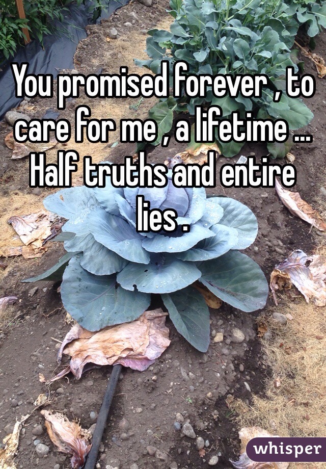 You promised forever , to care for me , a lifetime ... Half truths and entire lies . 