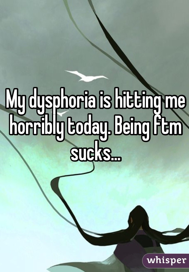 My dysphoria is hitting me horribly today. Being ftm sucks...