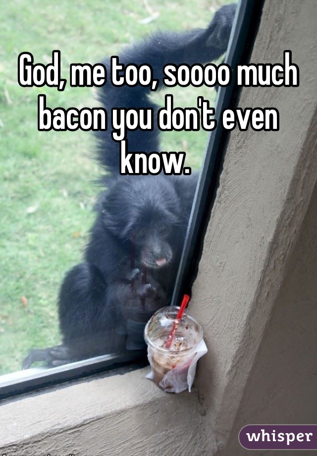 God, me too, soooo much bacon you don't even know. 