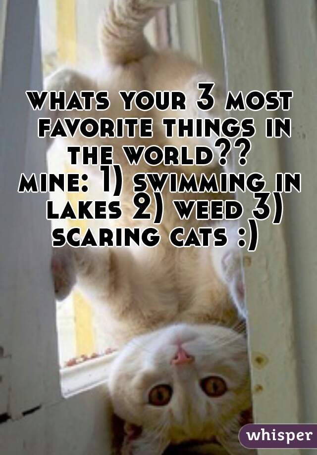 whats your 3 most favorite things in the world?? 

mine: 1) swimming in lakes 2) weed 3) scaring cats :)  