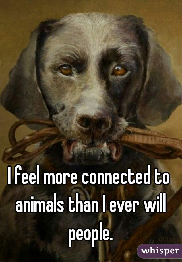 I feel more connected to animals than I ever will people.