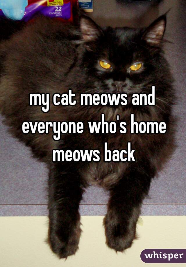 my cat meows and everyone who's home meows back