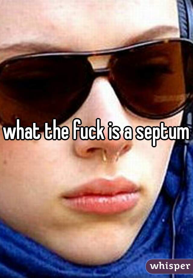 what the fuck is a septum?