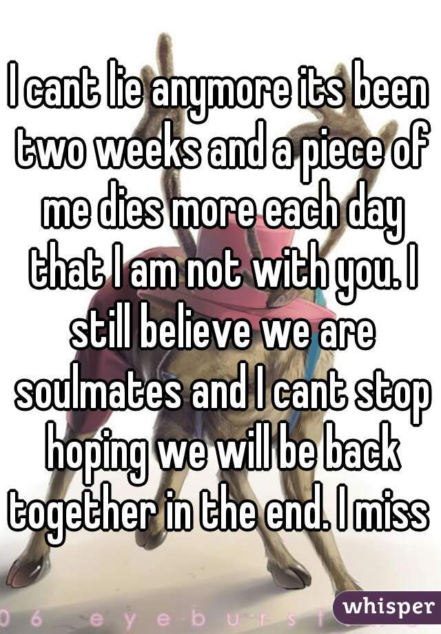 I cant lie anymore its been two weeks and a piece of me dies more each day that I am not with you. I still believe we are soulmates and I cant stop hoping we will be back together in the end. I miss u