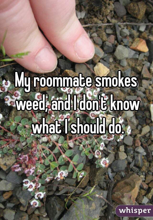 My roommate smokes weed, and I don't know what I should do.