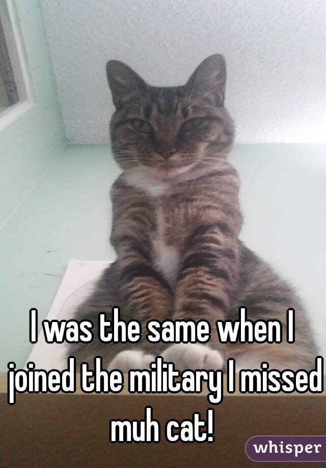 I was the same when I joined the military I missed muh cat! 