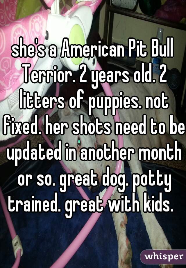 she's a American Pit Bull Terrior. 2 years old. 2 litters of puppies. not fixed. her shots need to be updated in another month or so. great dog. potty trained. great with kids.  