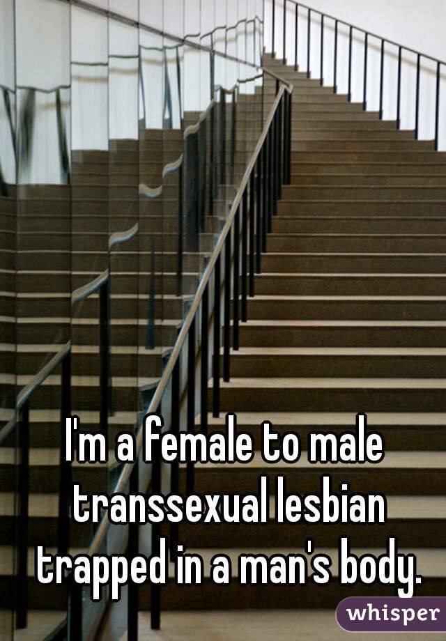 I'm a female to male transsexual lesbian trapped in a man's body.