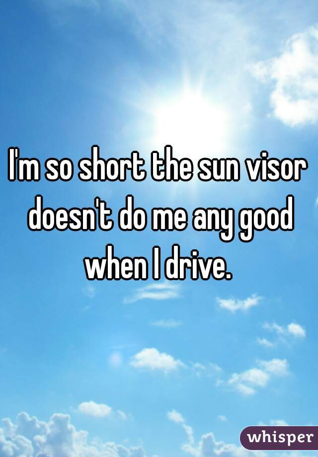 I'm so short the sun visor doesn't do me any good when I drive. 