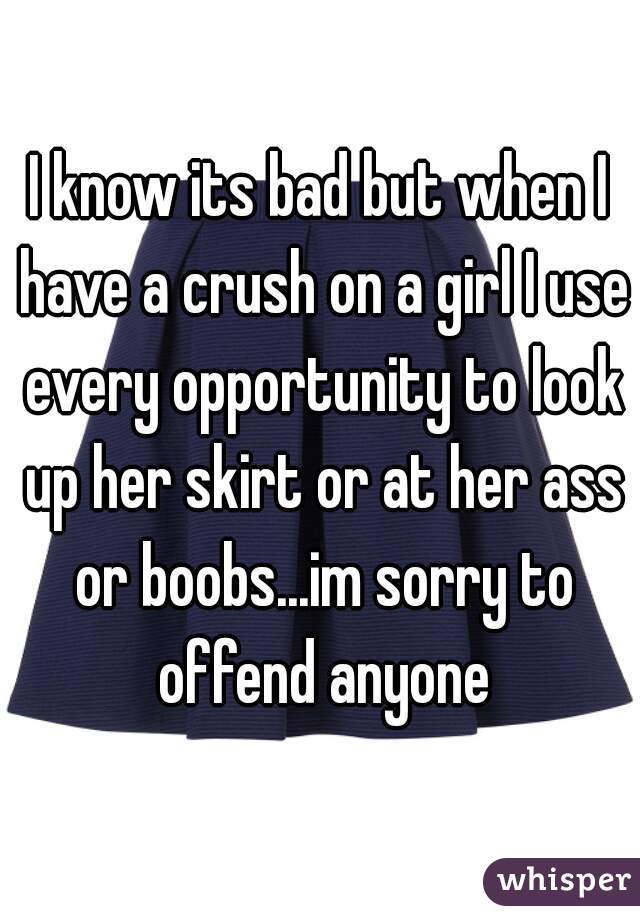 I know its bad but when I have a crush on a girl I use every opportunity to look up her skirt or at her ass or boobs...im sorry to offend anyone
