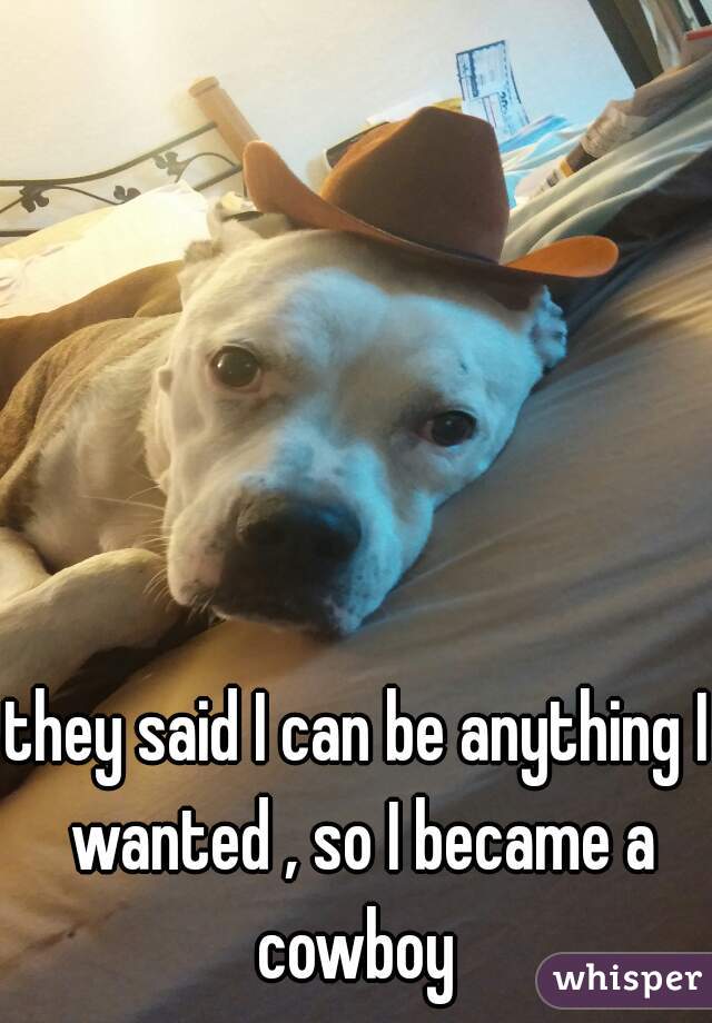 they said I can be anything I wanted , so I became a cowboy 