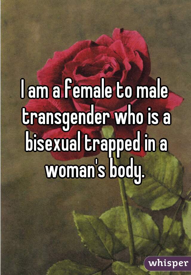 I am a female to male transgender who is a bisexual trapped in a woman's body. 