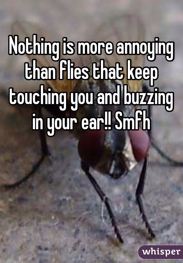 Nothing is more annoying than flies that keep touching you and buzzing in your ear!! Smfh