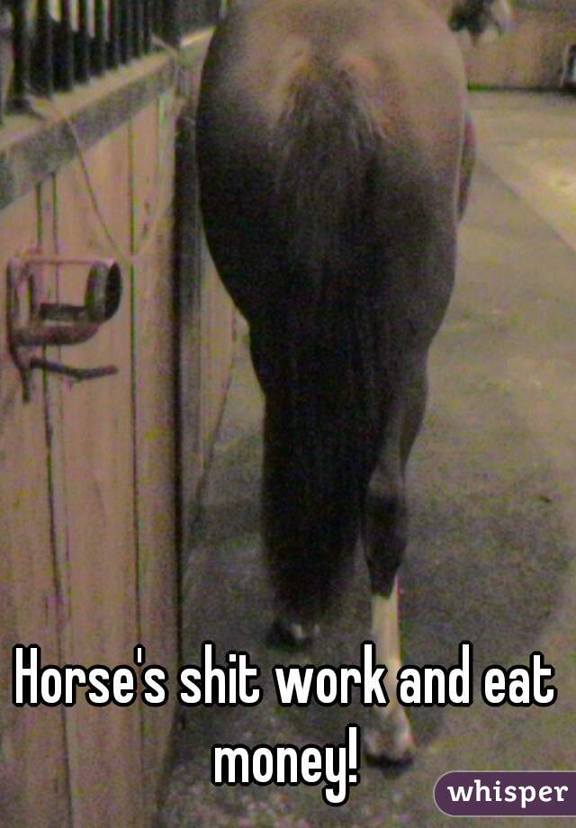 Horse's shit work and eat money! 