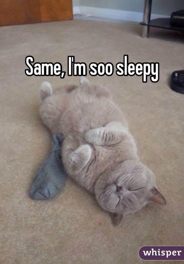 Same, I'm soo sleepy 