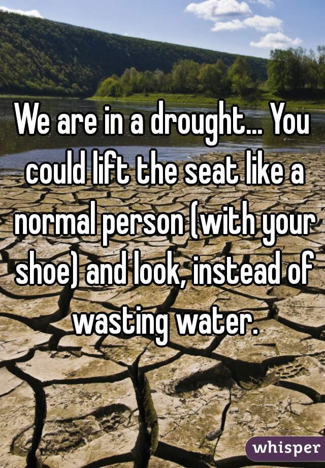 We are in a drought... You could lift the seat like a normal person (with your shoe) and look, instead of wasting water.