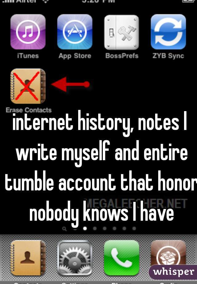 internet history, notes I write myself and entire tumble account that honor nobody knows I have