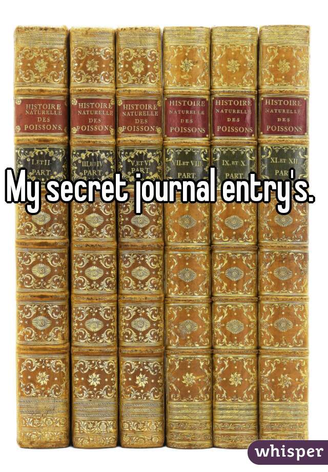 My secret journal entry's. 
