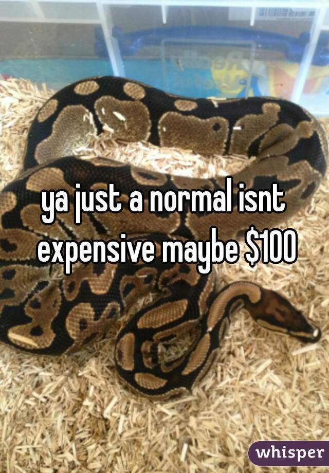ya just a normal isnt expensive maybe $100