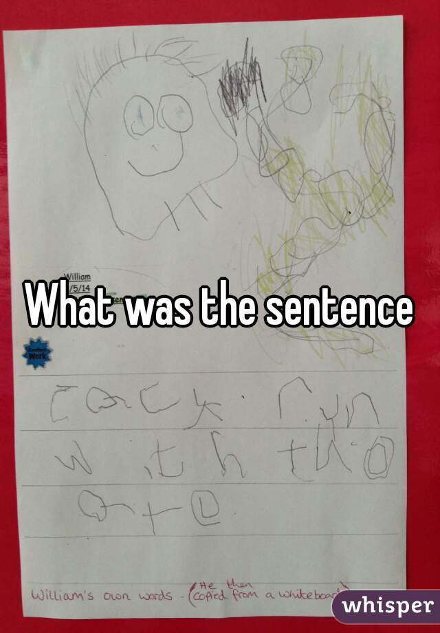 What was the sentence