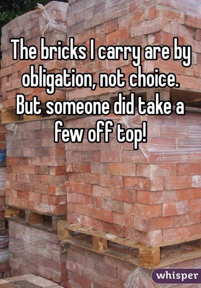 The bricks I carry are by obligation, not choice.
But someone did take a few off top!