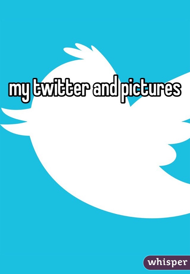 my twitter and pictures