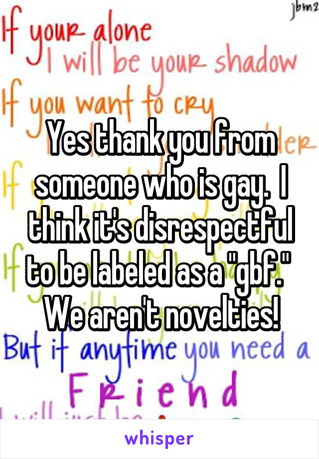 Yes thank you from someone who is gay.  I think it's disrespectful to be labeled as a "gbf."  We aren't novelties!