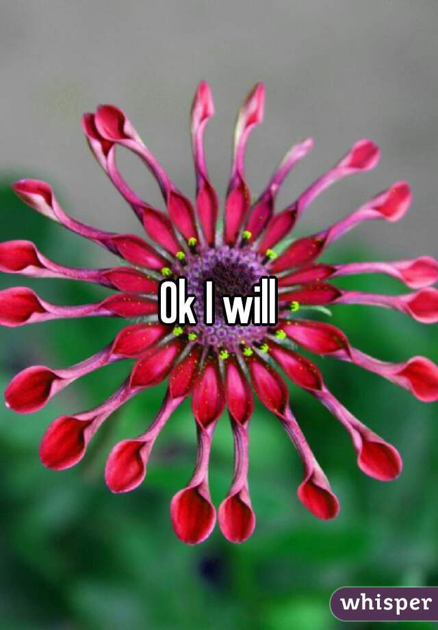 Ok I will
