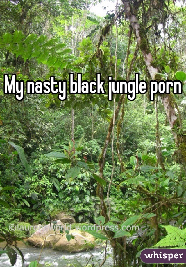 My nasty black jungle porn 