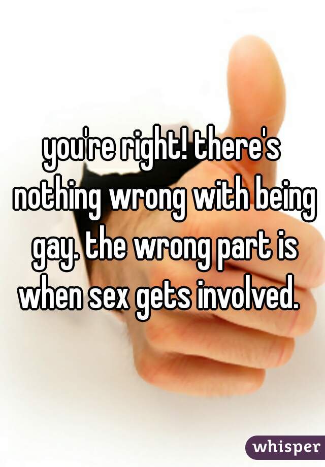 you're right! there's nothing wrong with being gay. the wrong part is when sex gets involved.  