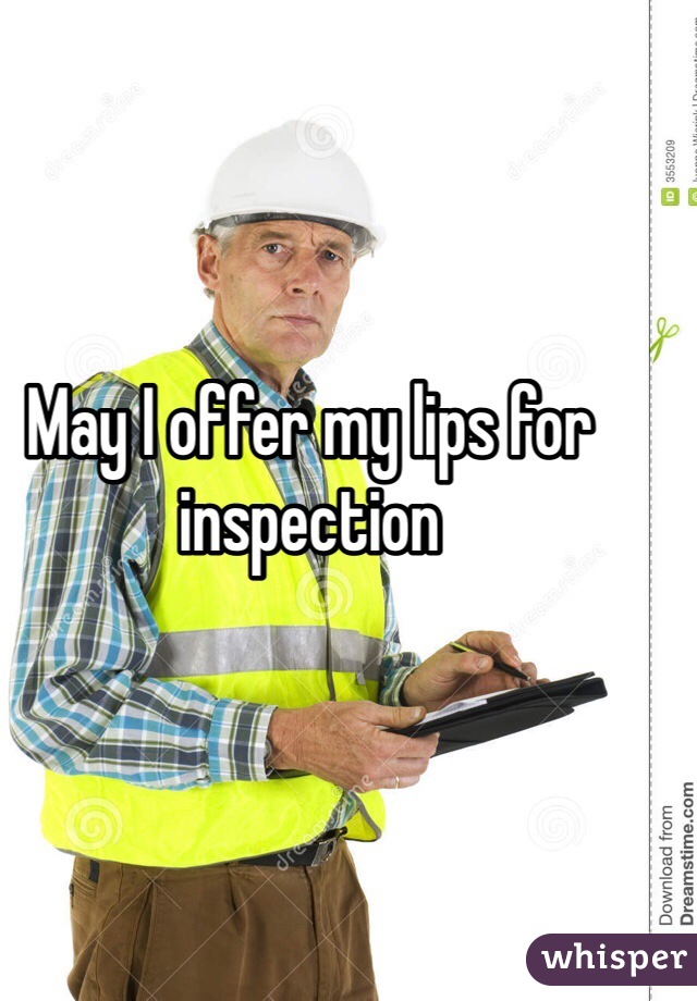 May I offer my lips for inspection
