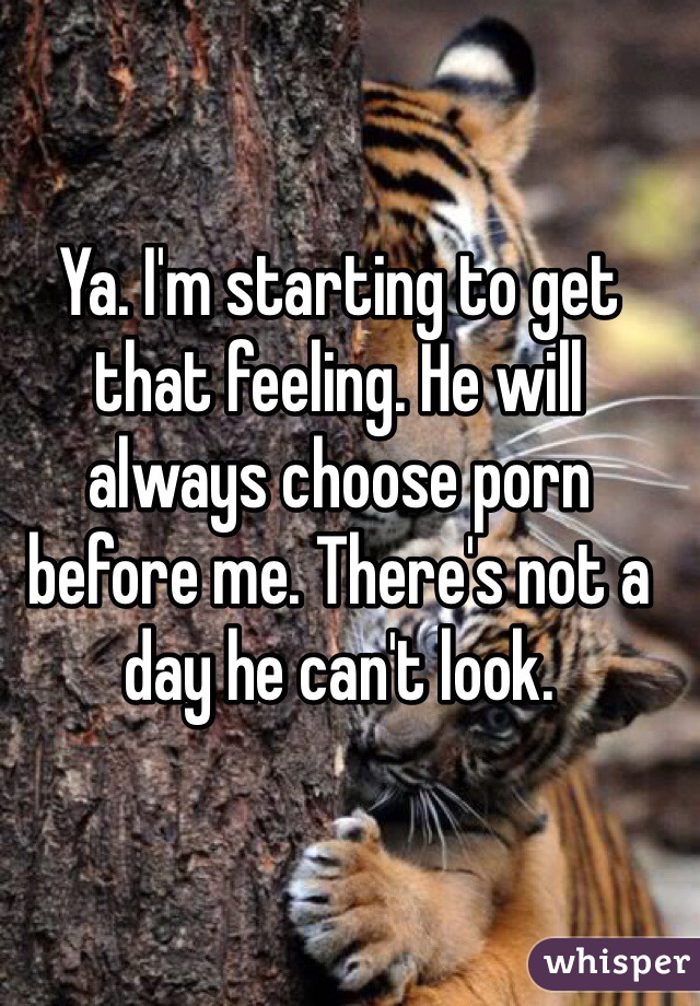 Ya. I'm starting to get that feeling. He will always choose porn before me. There's not a day he can't look. 