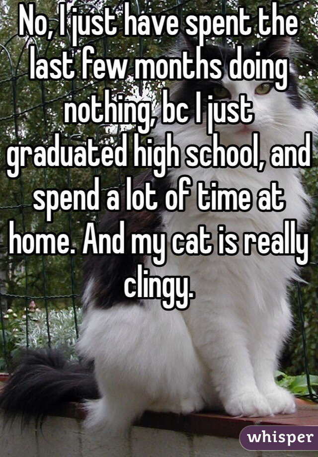 No, I just have spent the last few months doing nothing, bc I just graduated high school, and spend a lot of time at home. And my cat is really clingy.