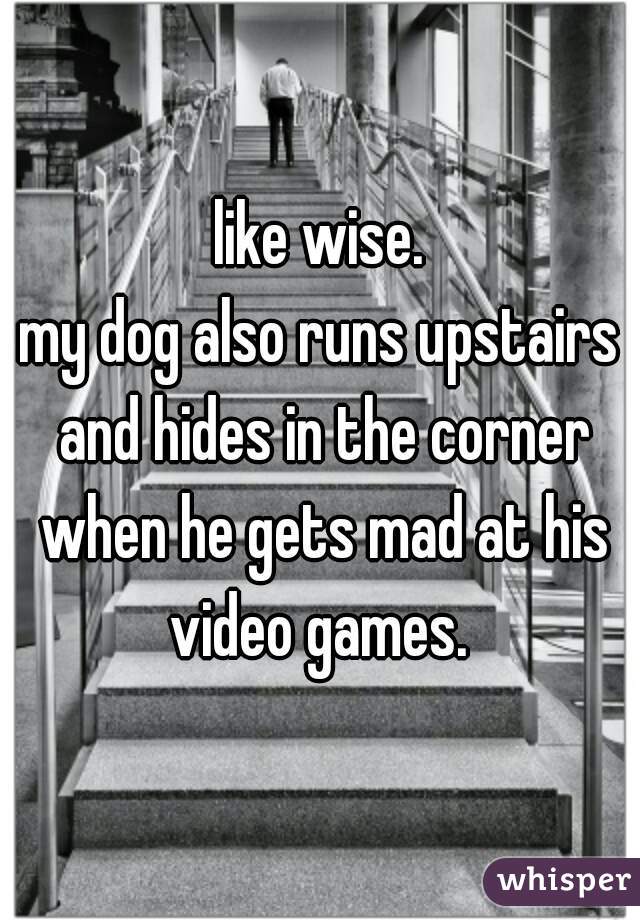 like wise.
my dog also runs upstairs and hides in the corner when he gets mad at his video games. 