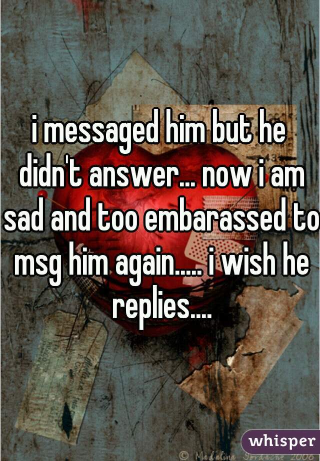i messaged him but he didn't answer... now i am sad and too embarassed to msg him again..... i wish he replies....