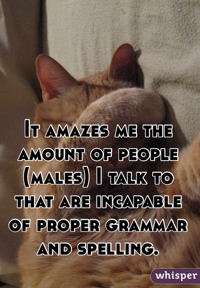 It amazes me the amount of people (males) I talk to that are incapable of proper grammar and spelling. 