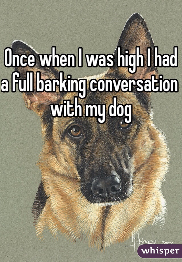 Once when I was high I had a full barking conversation with my dog 
