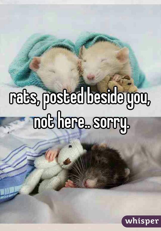 rats, posted beside you, not here.. sorry.