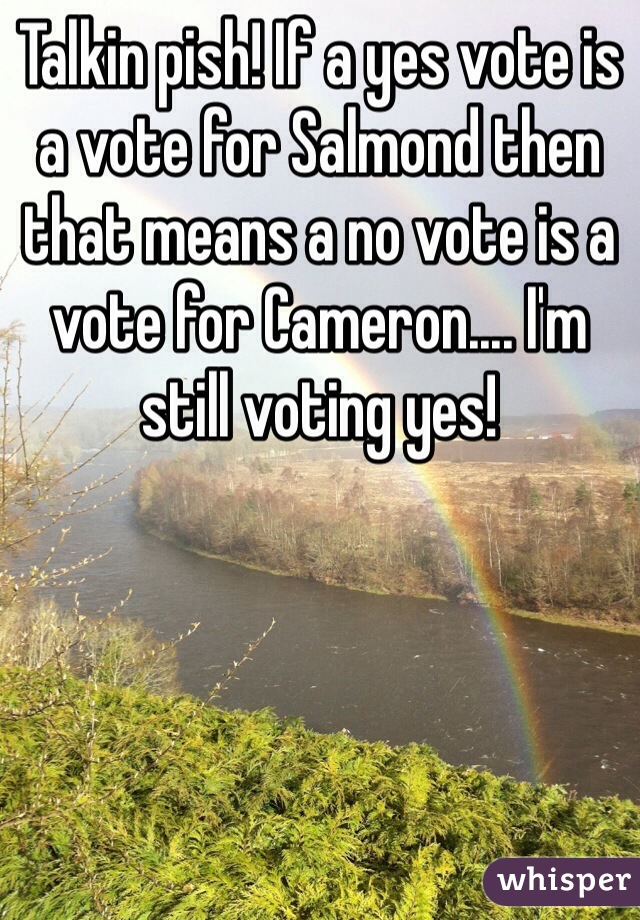 Talkin pish! If a yes vote is a vote for Salmond then that means a no vote is a vote for Cameron.... I'm still voting yes!