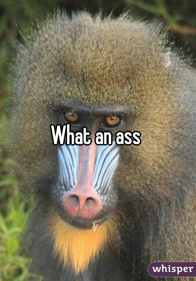 What an ass 
