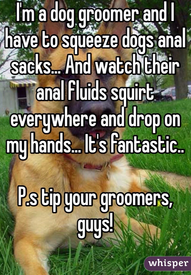 I'm a dog groomer and I have to squeeze dogs anal sacks... And watch their anal fluids squirt everywhere and drop on my hands... It's fantastic.. 

P.s tip your groomers, guys! 