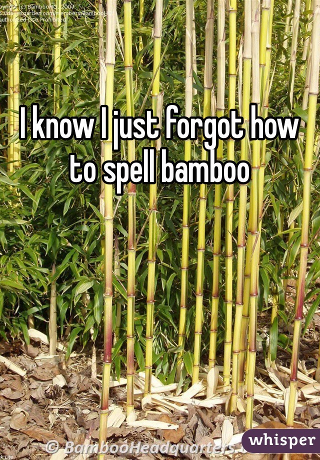 I know I just forgot how to spell bamboo