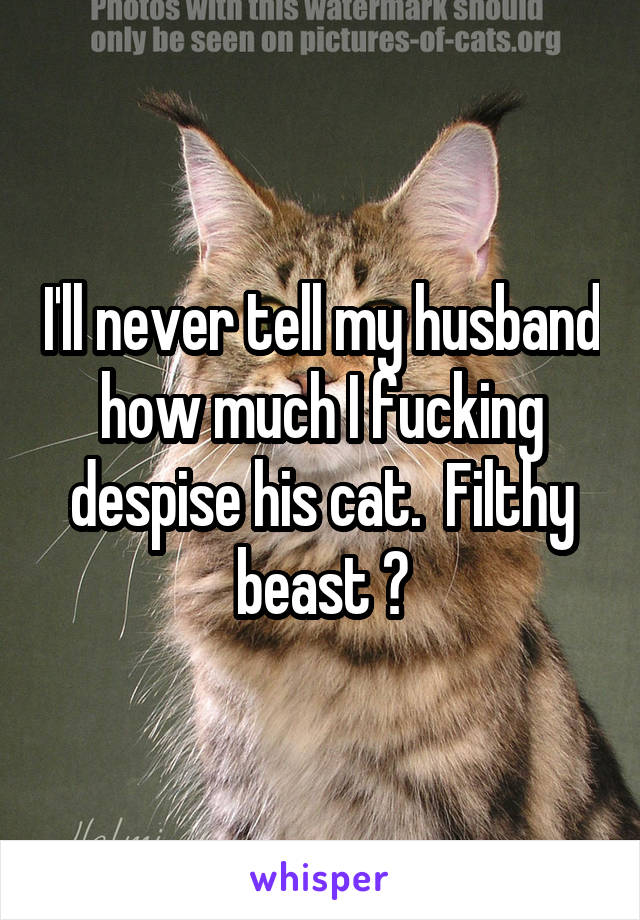 I'll never tell my husband how much I fucking despise his cat.  Filthy beast 😡