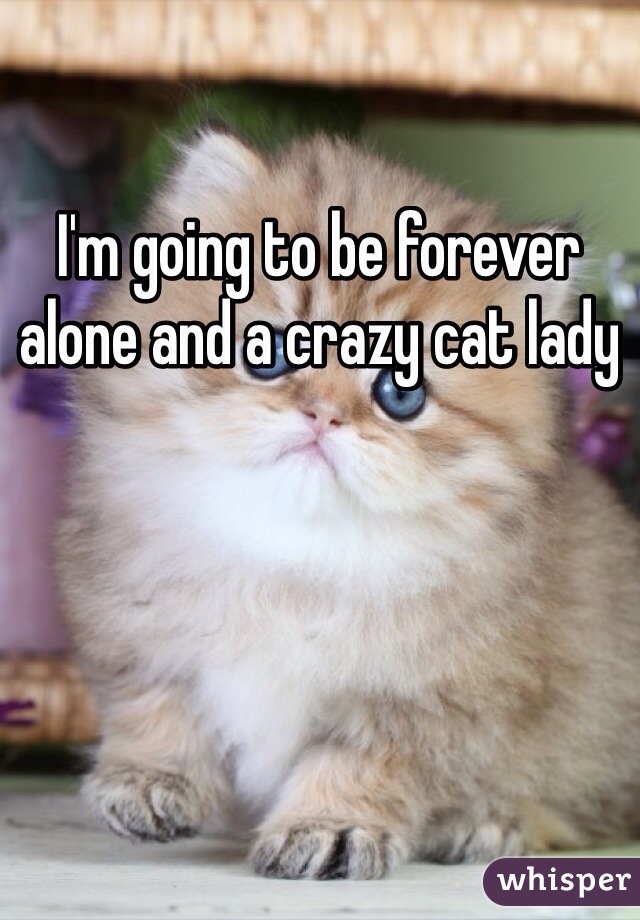 I'm going to be forever alone and a crazy cat lady