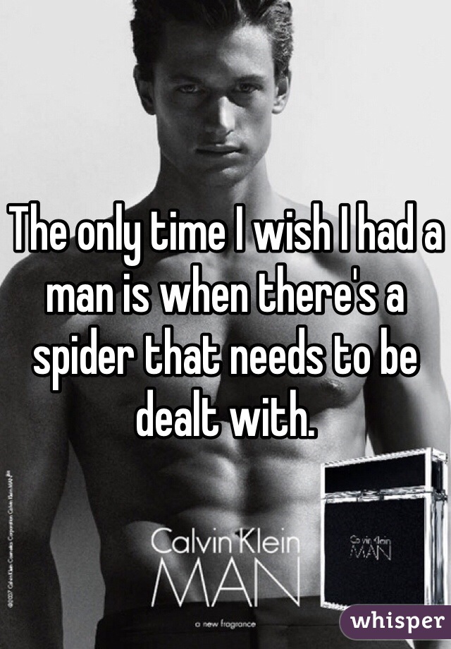 The only time I wish I had a man is when there's a spider that needs to be dealt with. 
