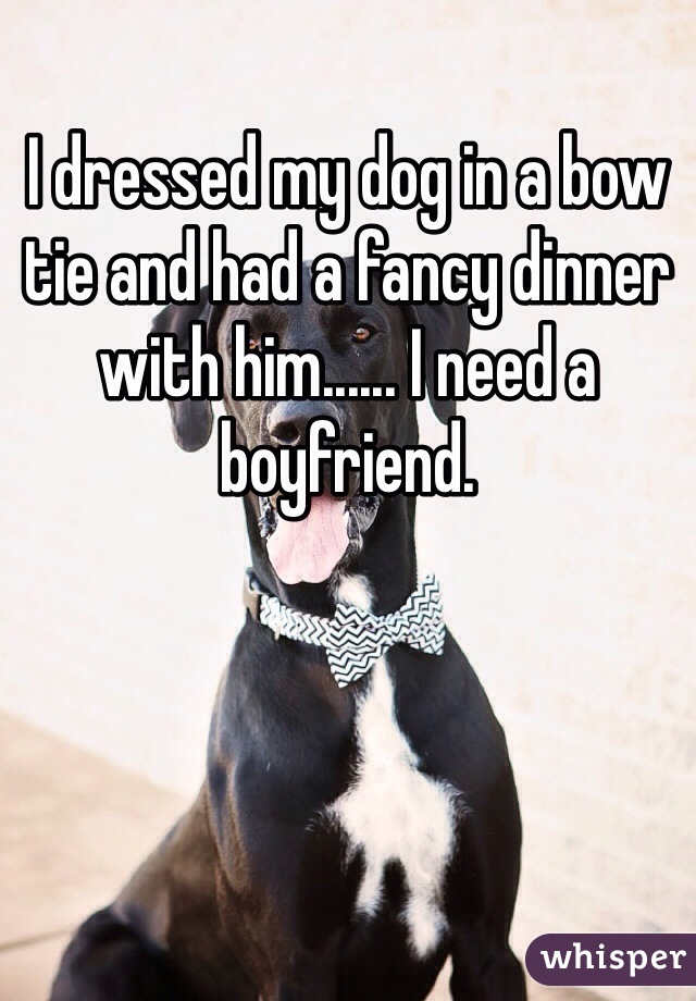 I dressed my dog in a bow tie and had a fancy dinner with him...... I need a boyfriend.
