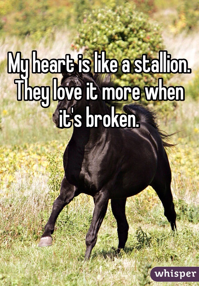 My heart is like a stallion. They love it more when it's broken. 