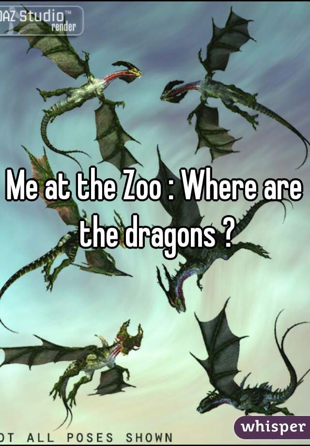 Me at the Zoo : Where are the dragons ?