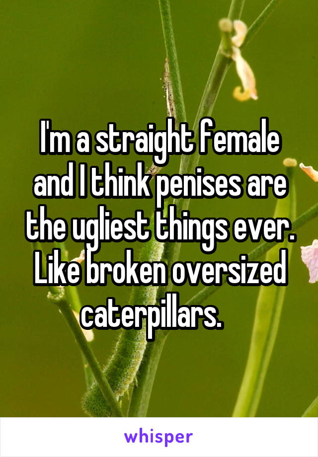 I'm a straight female and I think penises are the ugliest things ever. Like broken oversized caterpillars.   