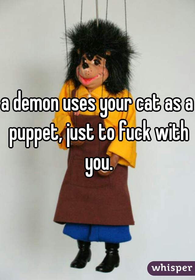 a demon uses your cat as a puppet, just to fuck with you.
